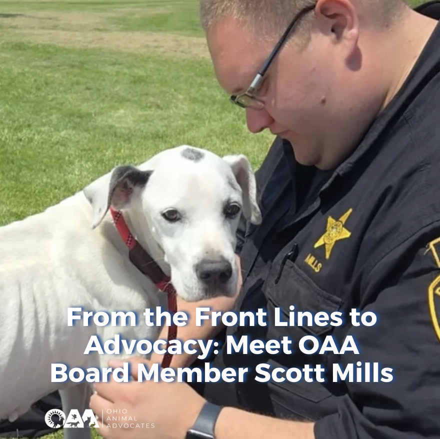 From the Front Lines to Advocacy: Meet OAA Board Member Scott Mills