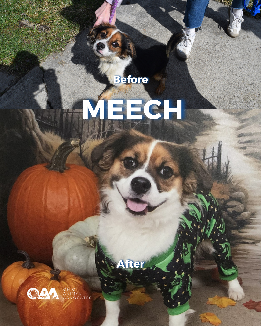 10.png