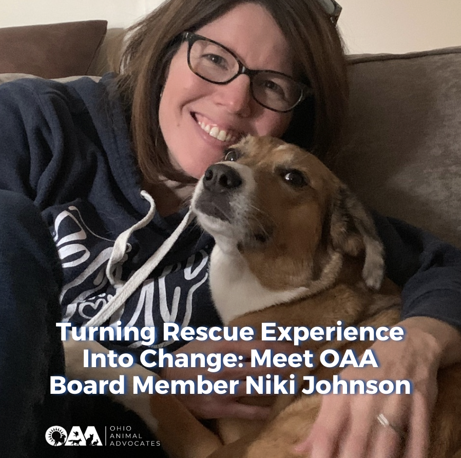 Turning Rescue Experience Into Change: Meet OAA Board Member Niki Johnson