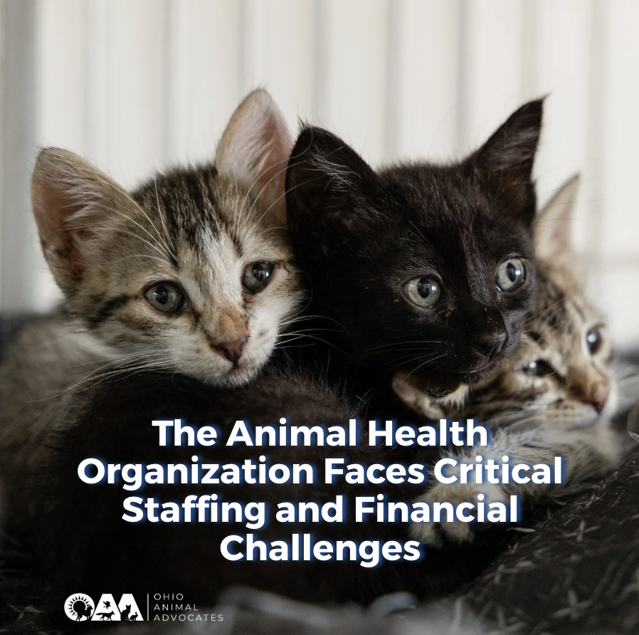 The Animal Health Organization Faces Critical Staffing and Financial Challenges