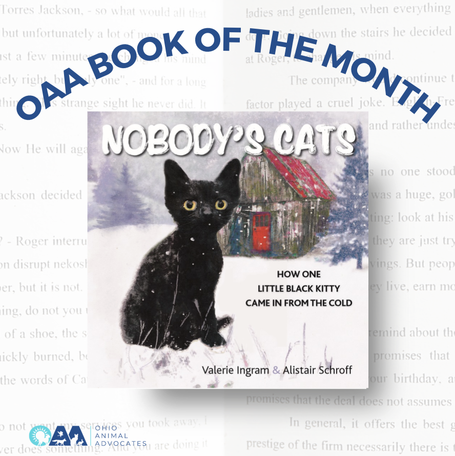OAA Book of the Month - Nobody’s Cats: How One Little Black Kitty Came in From the Cold