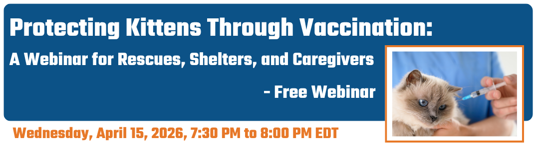 Protecting Kittens Through Vaccination: A Webinar for Rescues, Shelters, and Caregivers