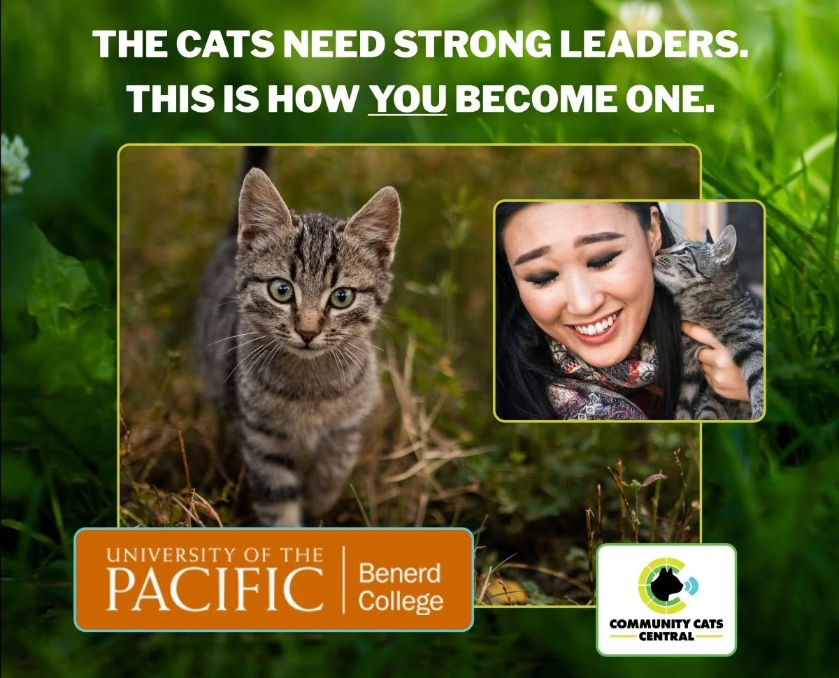 Community Cat Program Management Certificate