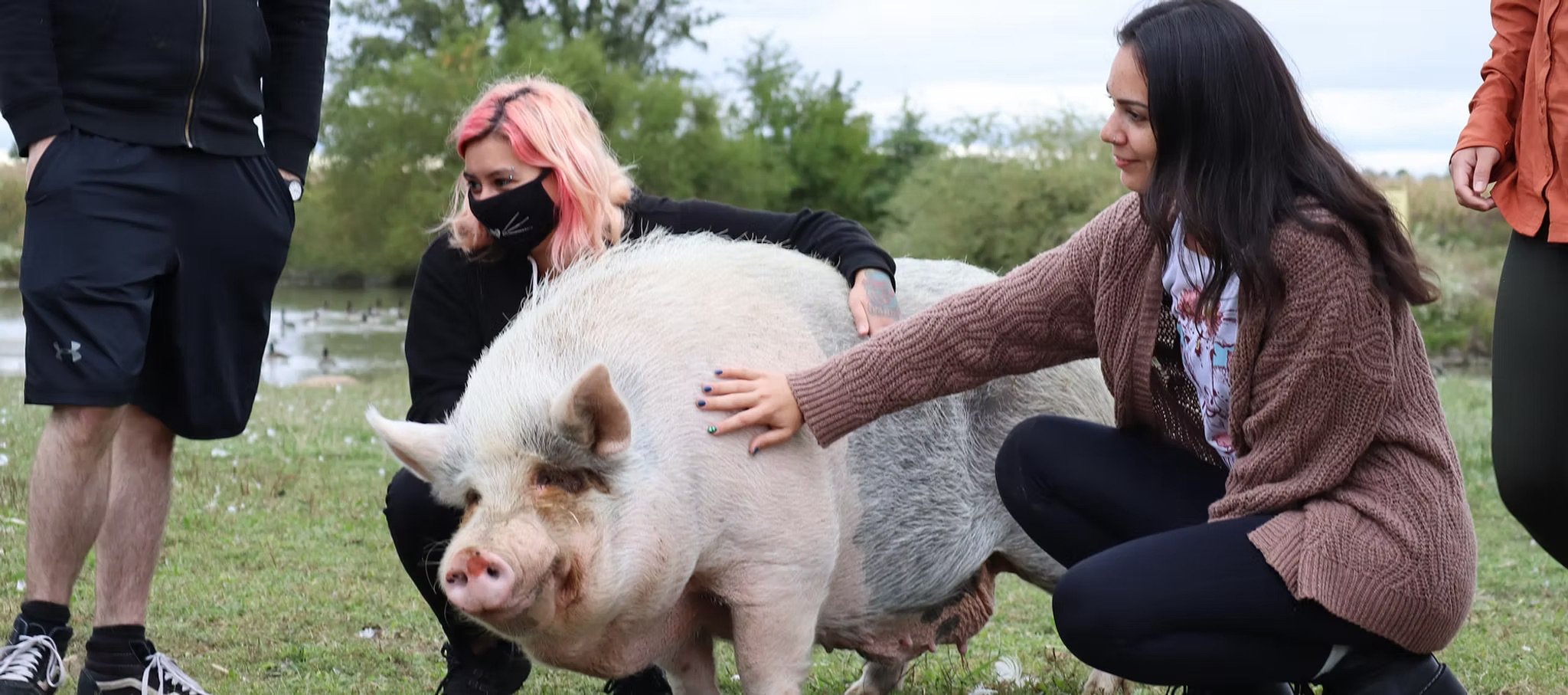 Open Barn Day at Sunrise Sanctuary
