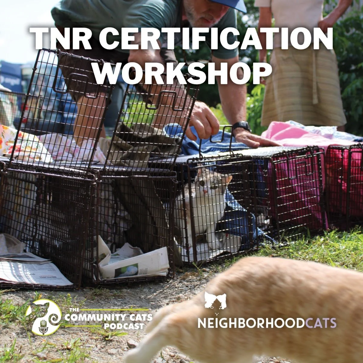 TNR Certification Workshop Presented by Neighborhood Cats