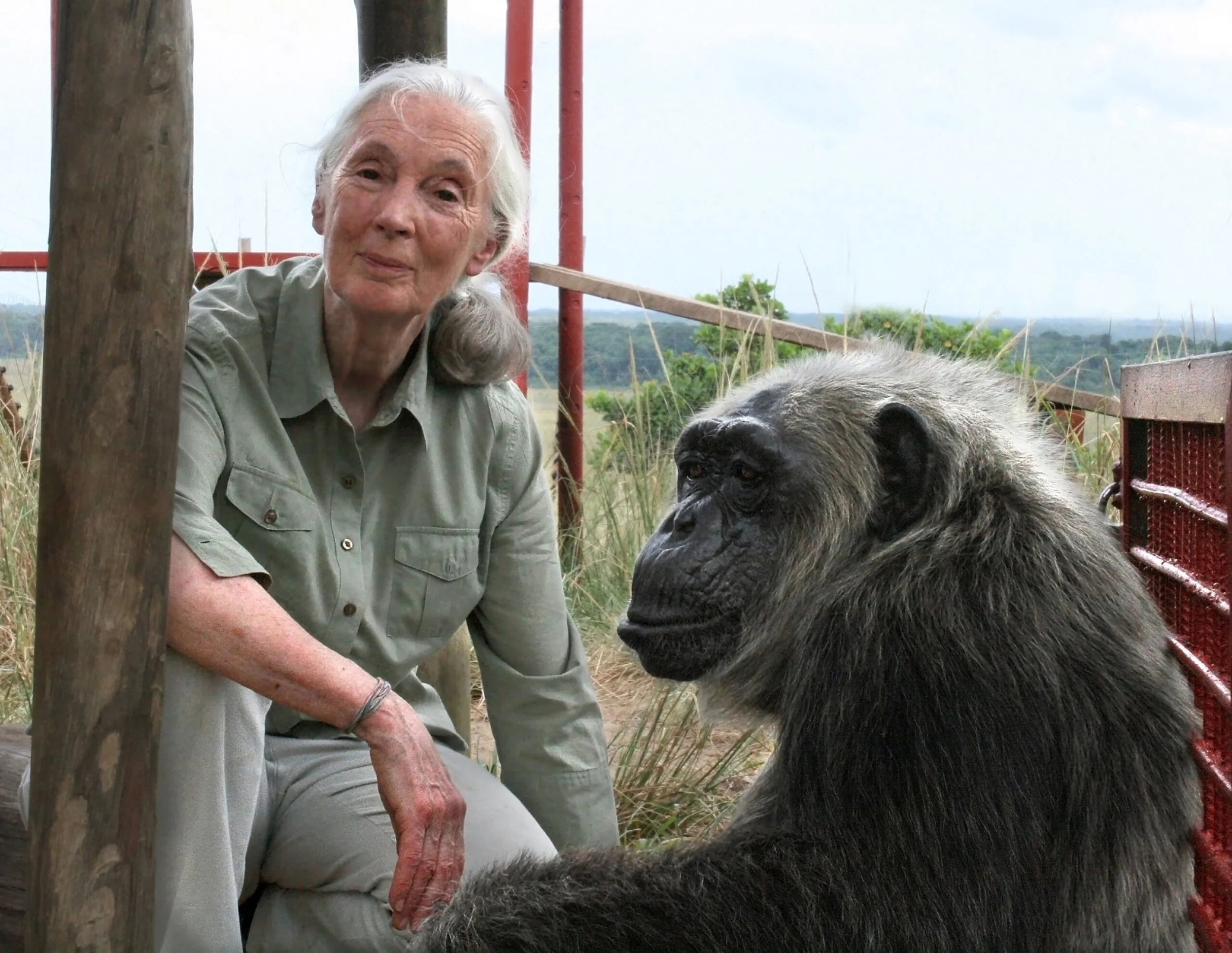 Dr. Jane Goodall Leadership Legacy Program - Panel 3: Youth Activism: Forever Young with Hope