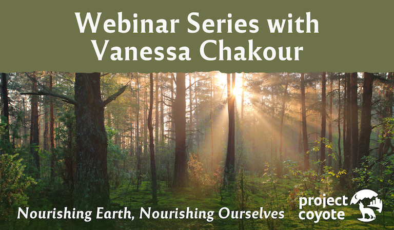 Building an Appreciation For, and Relationship With, Non-Human Animals and the Natural World