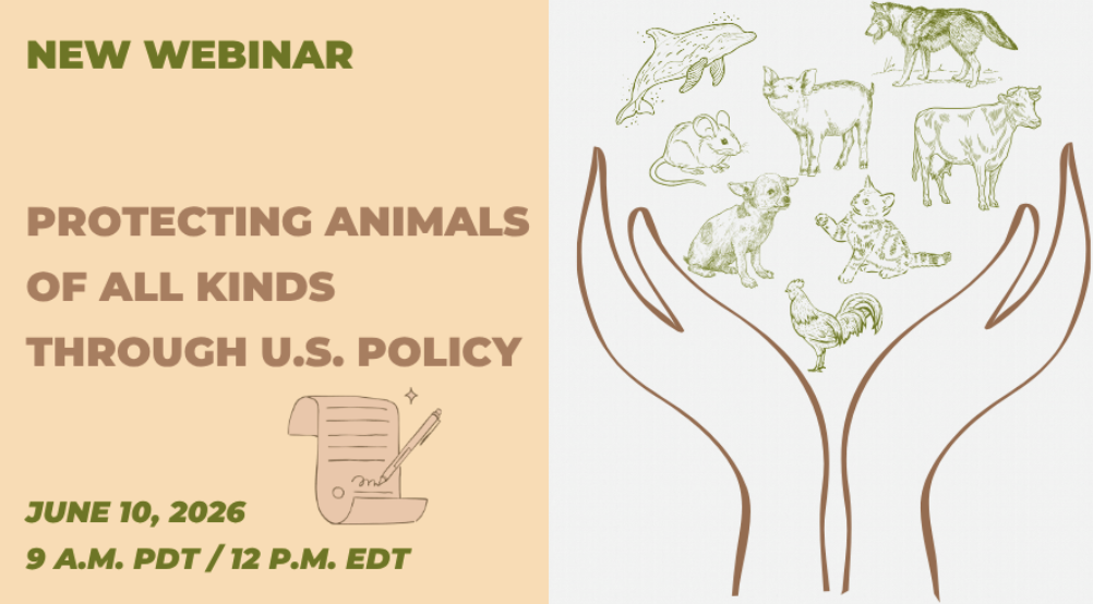 Protecting Animals of All Kinds through U.S. Policy