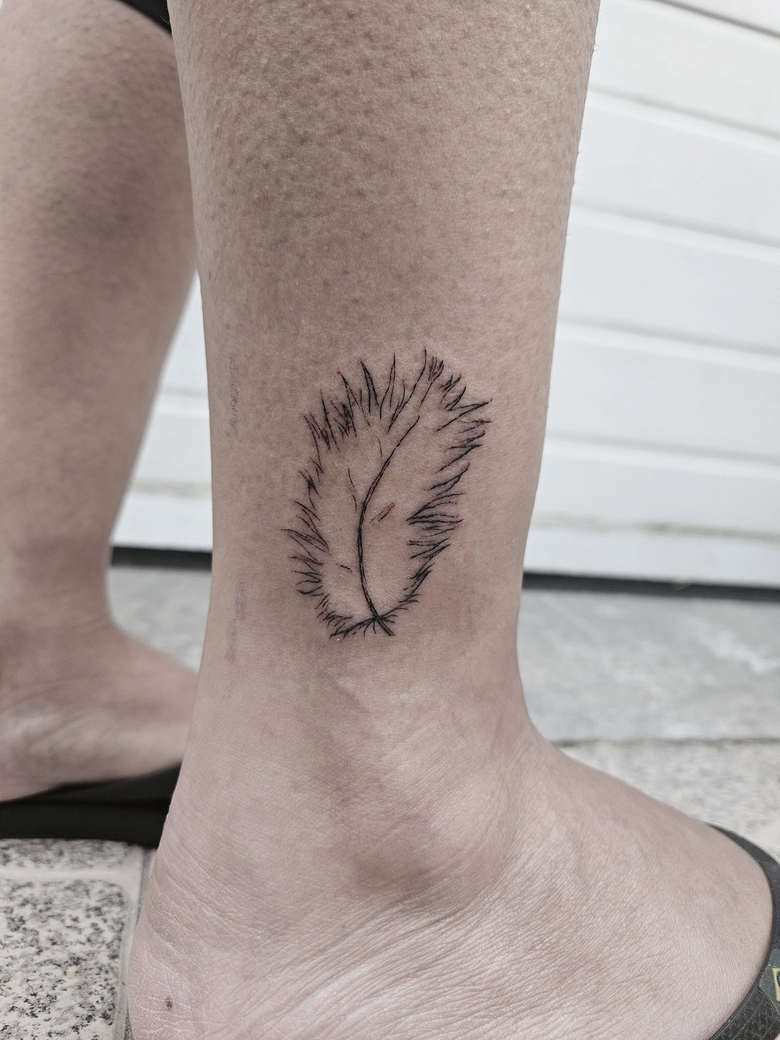 20260523_201243.jpg