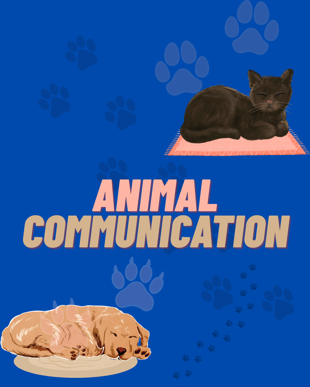 Animal Communication.png