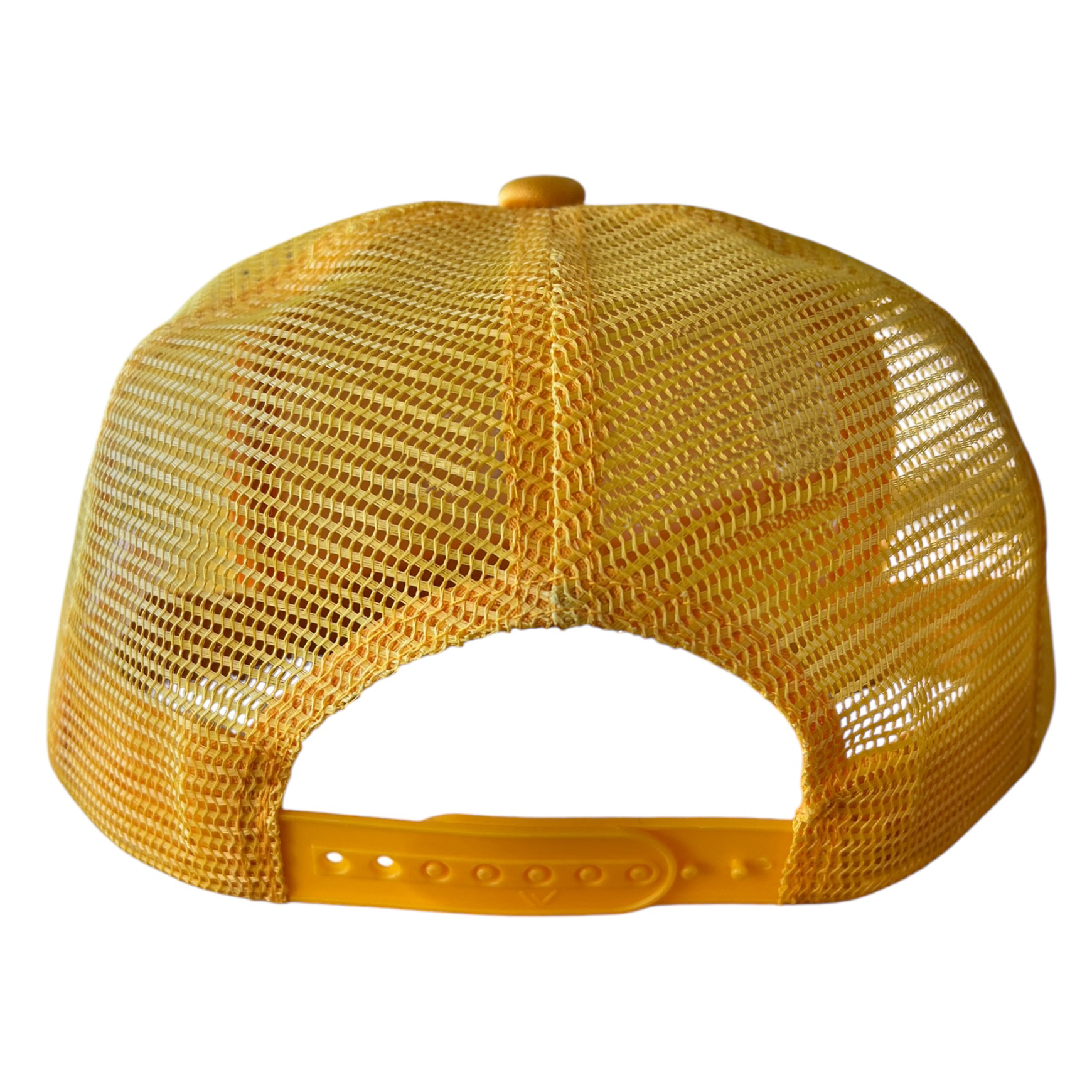 AA3A33F0-DE7D-4028-9E9C-401F22FB1100.png