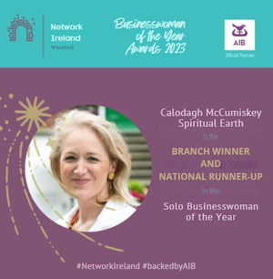Network Ireland Wexford award recognition