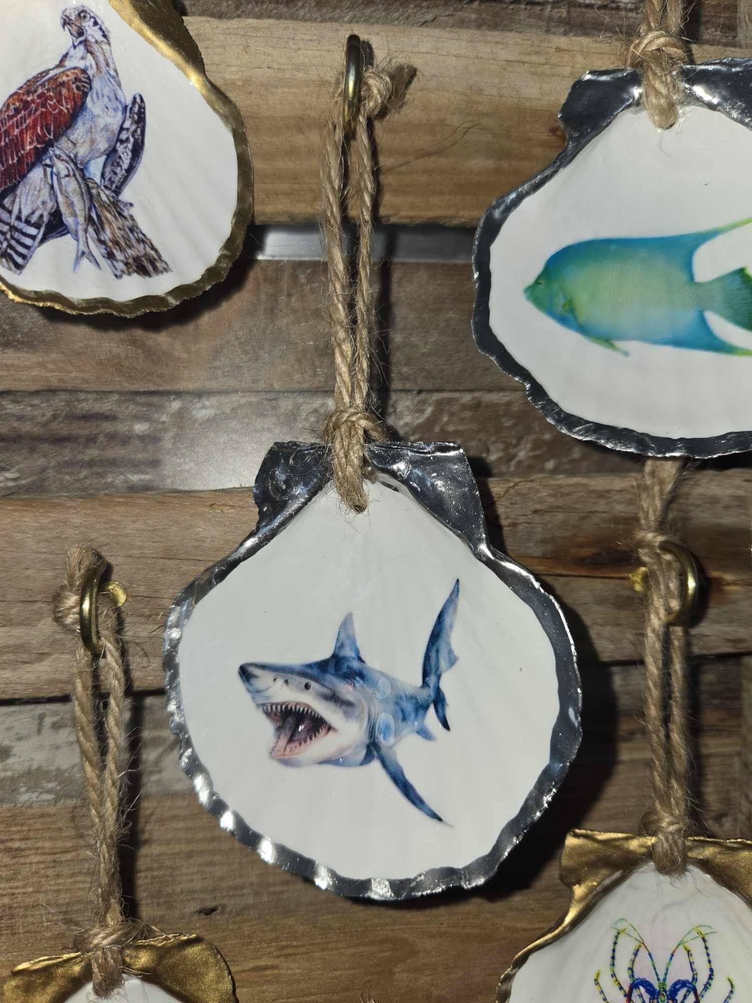 Shark shell Ornamant.jpg