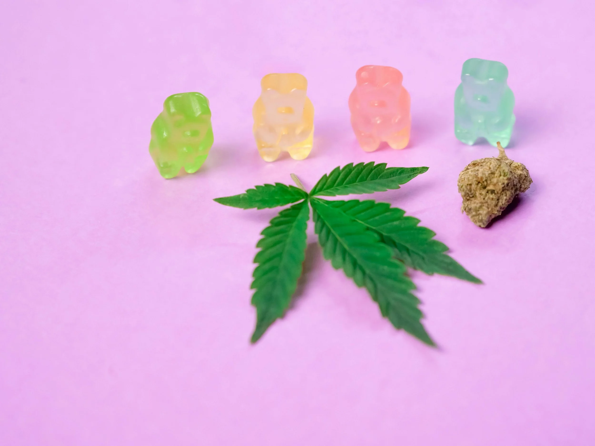 Cannabis Edibles (News Article)