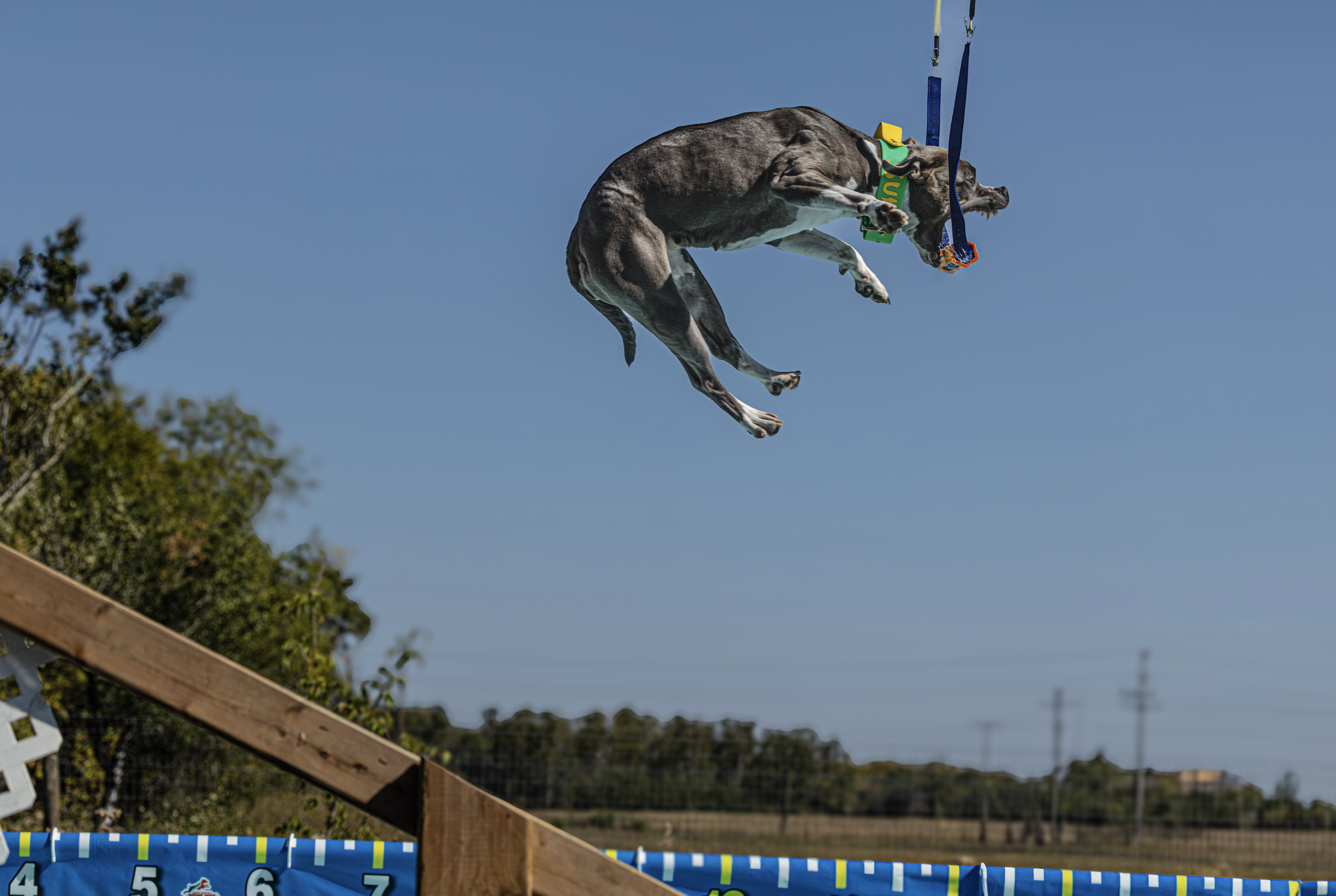 Screenshot 2026-01-08 at 9.33.44 AM.png