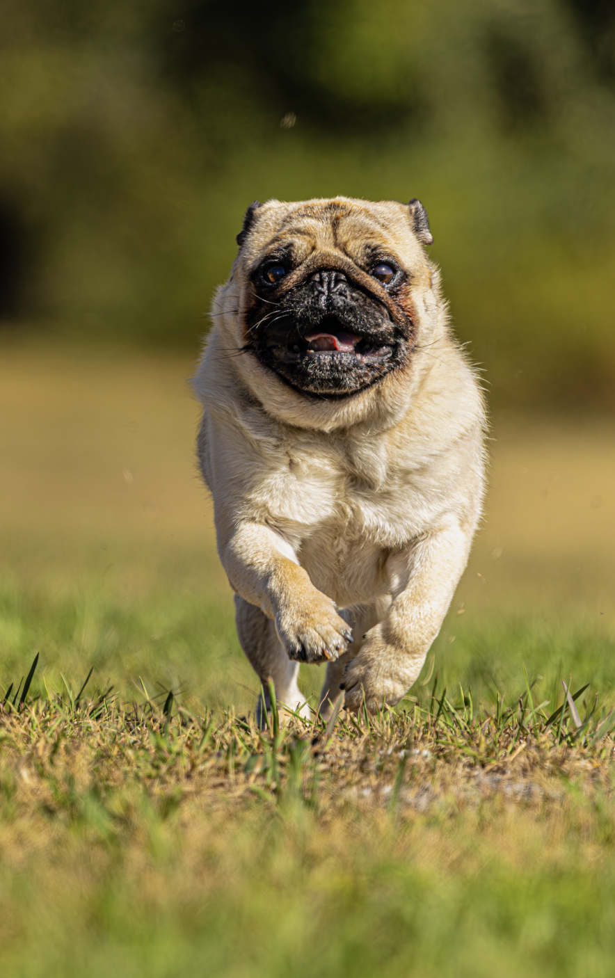 Screenshot 2026-01-08 at 9.36.47 AM.png