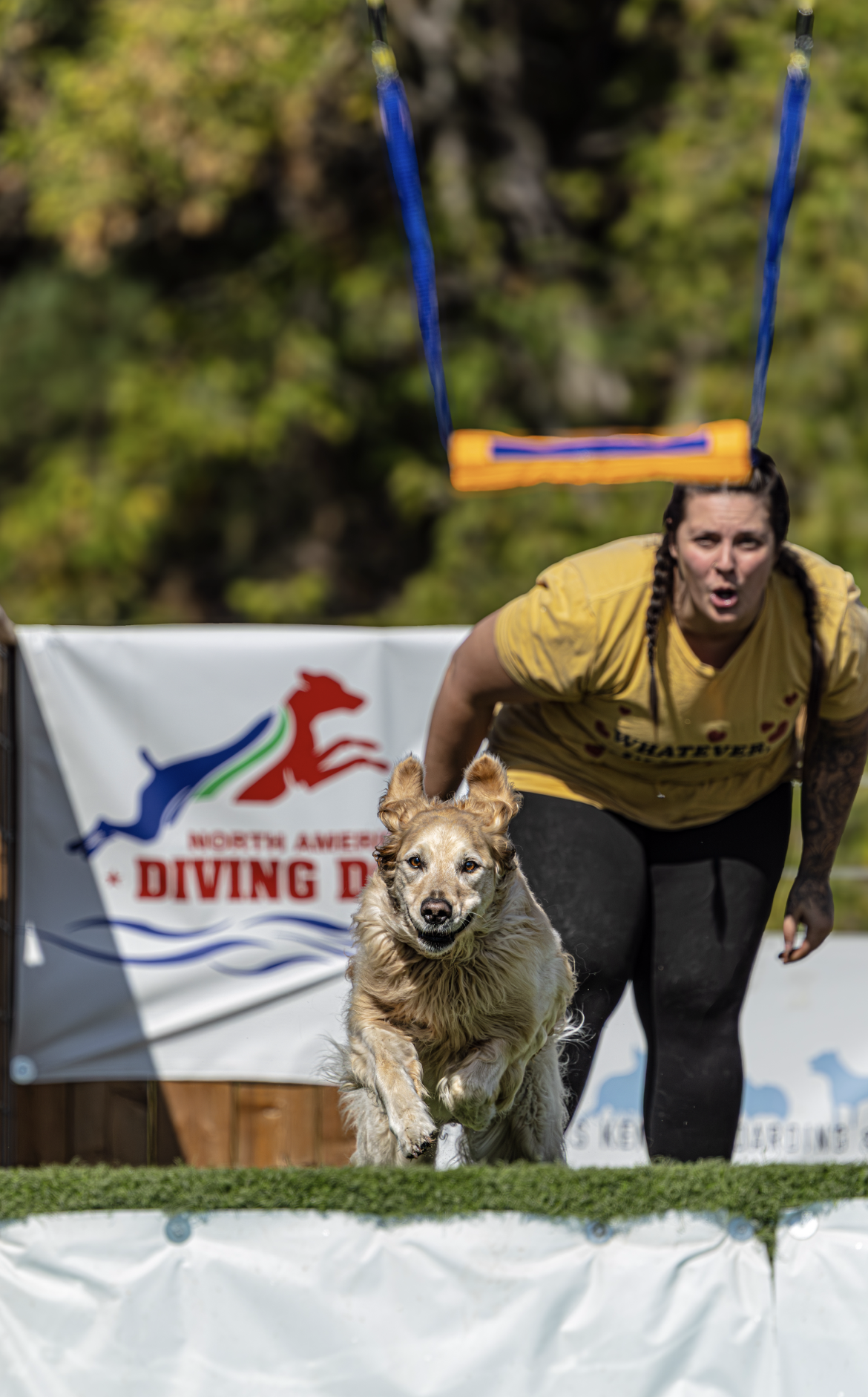 Screenshot 2026-01-08 at 9.33.18 AM.png