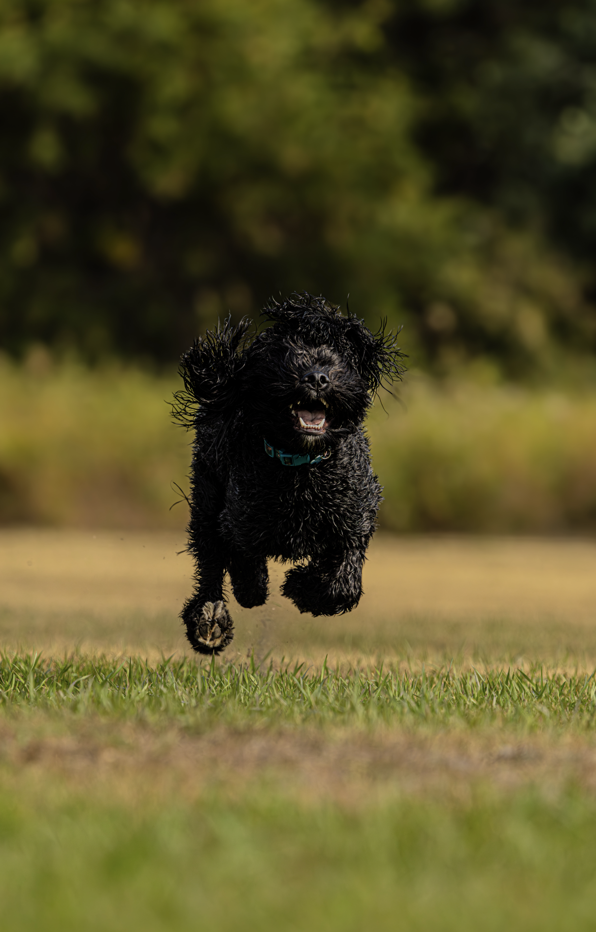 Screenshot 2026-01-08 at 9.28.55 AM.png