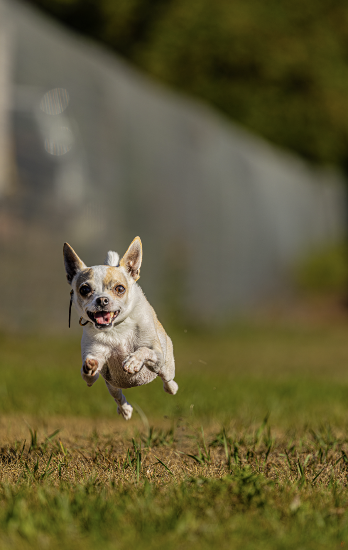 Screenshot 2026-01-08 at 9.36.07 AM.png