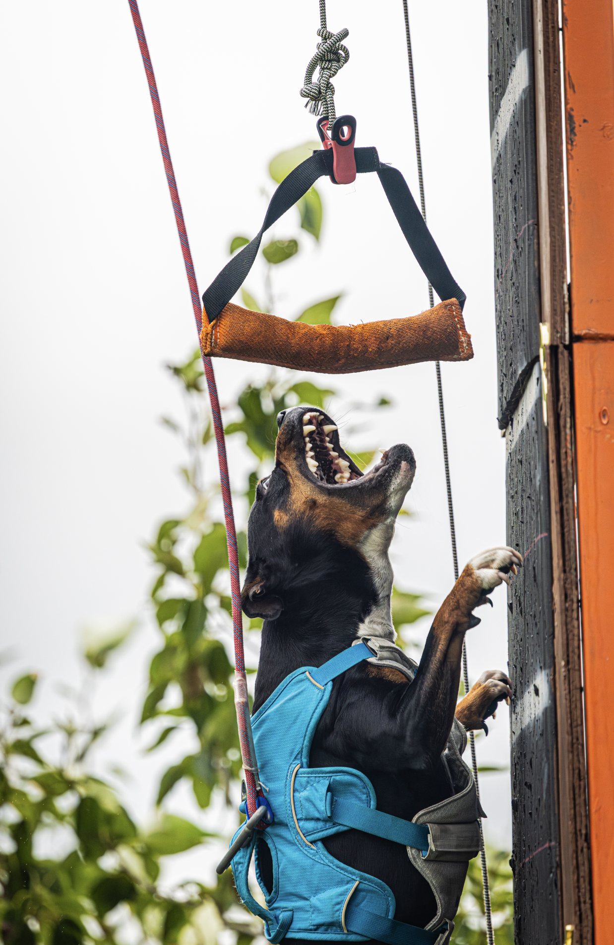 Screenshot 2026-01-08 at 9.48.53 AM.png