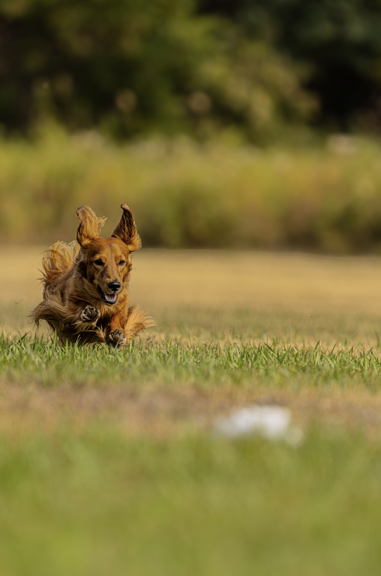 Screenshot 2026-01-08 at 9.28.27 AM.png