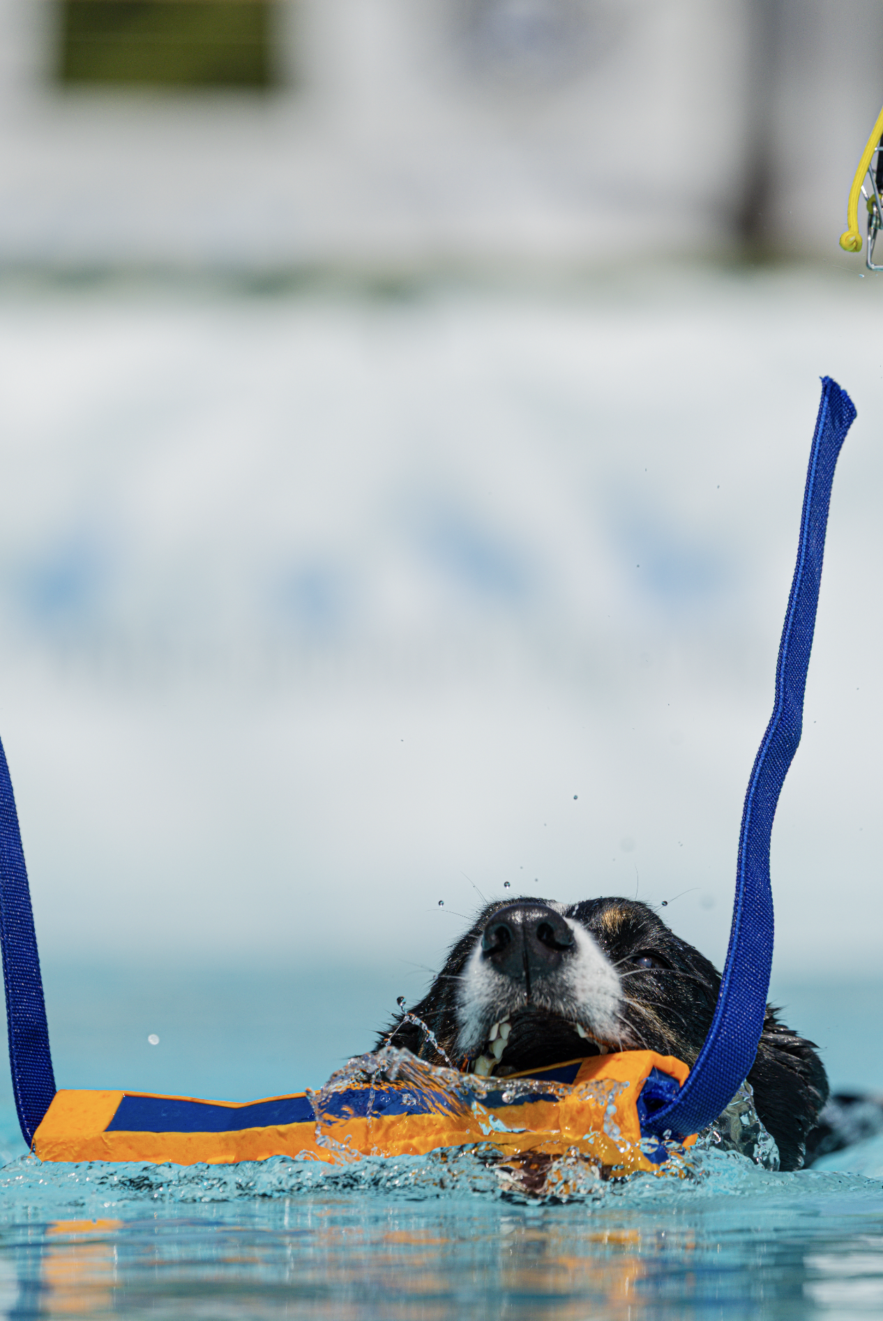 Screenshot 2026-01-08 at 9.21.49 AM.png