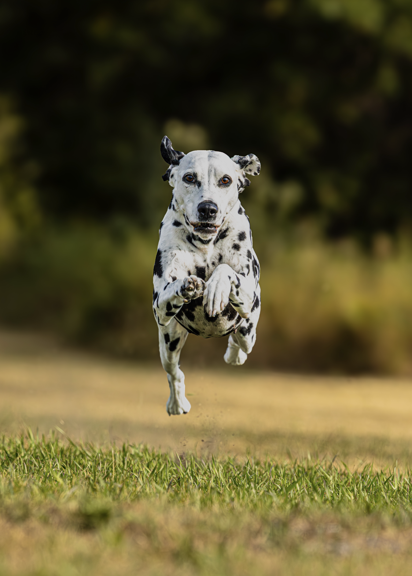 Screenshot 2026-01-08 at 9.30.11 AM.png