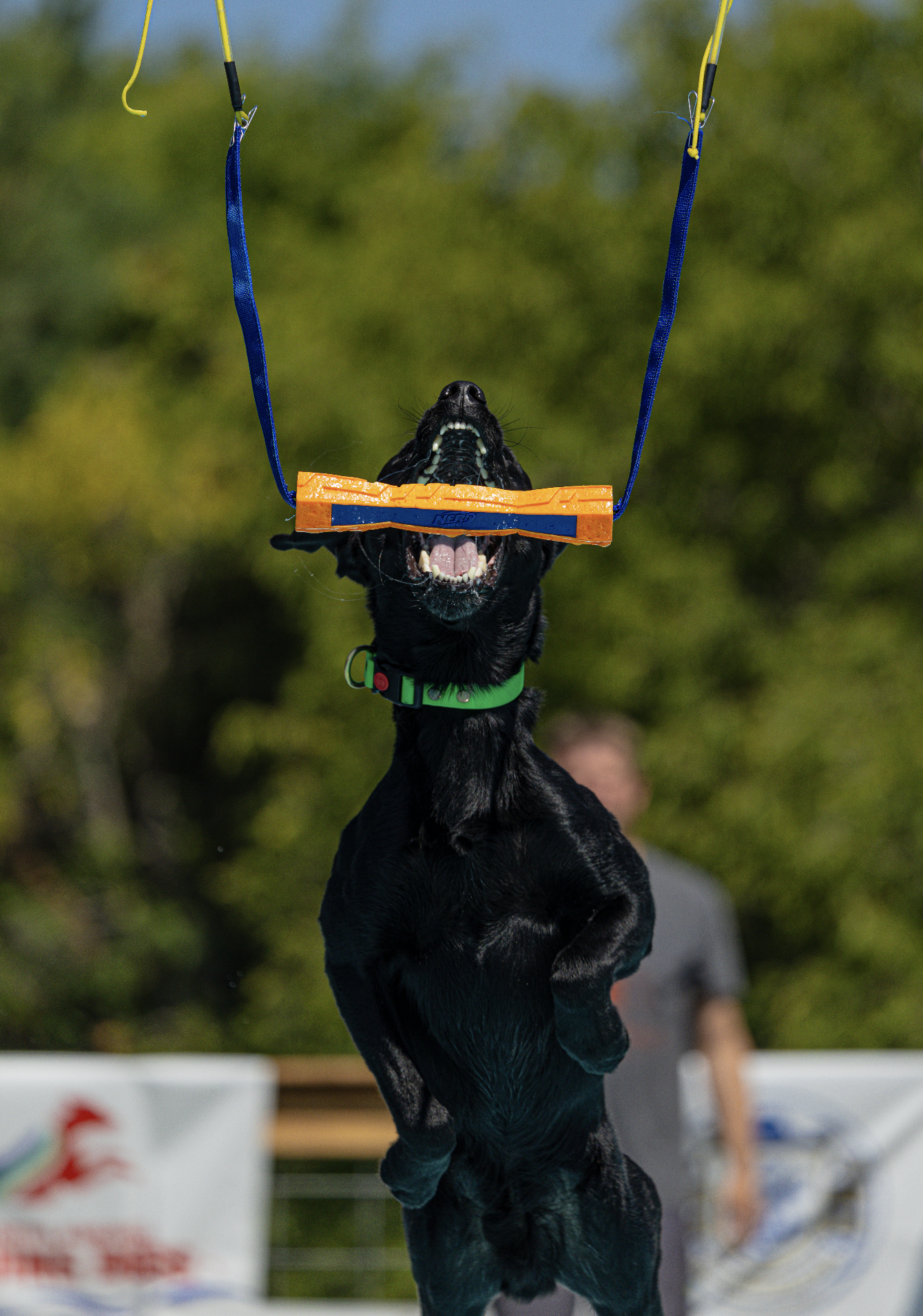 Screenshot 2026-01-08 at 9.22.12 AM.png