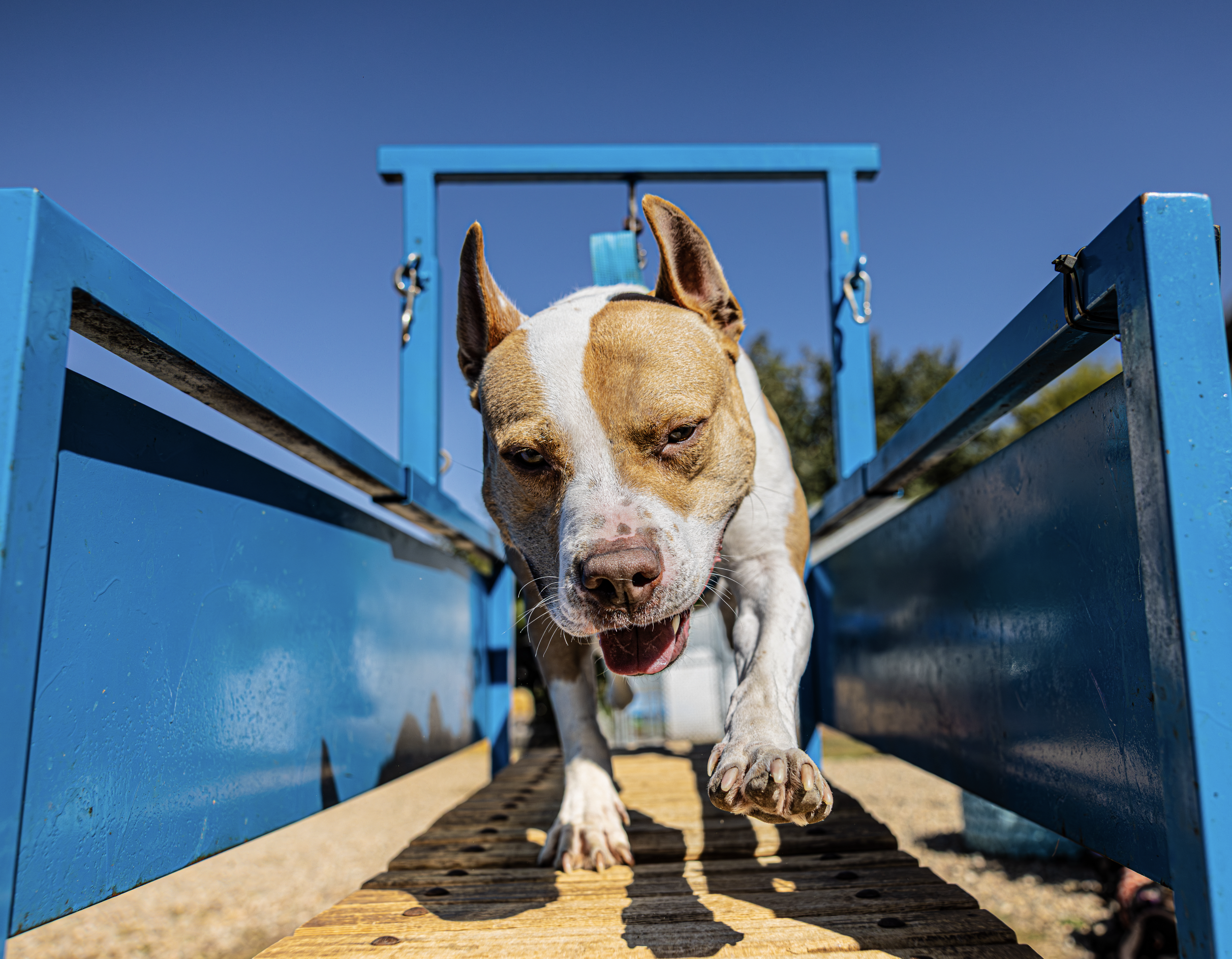 Screenshot 2026-01-08 at 9.34.28 AM.png