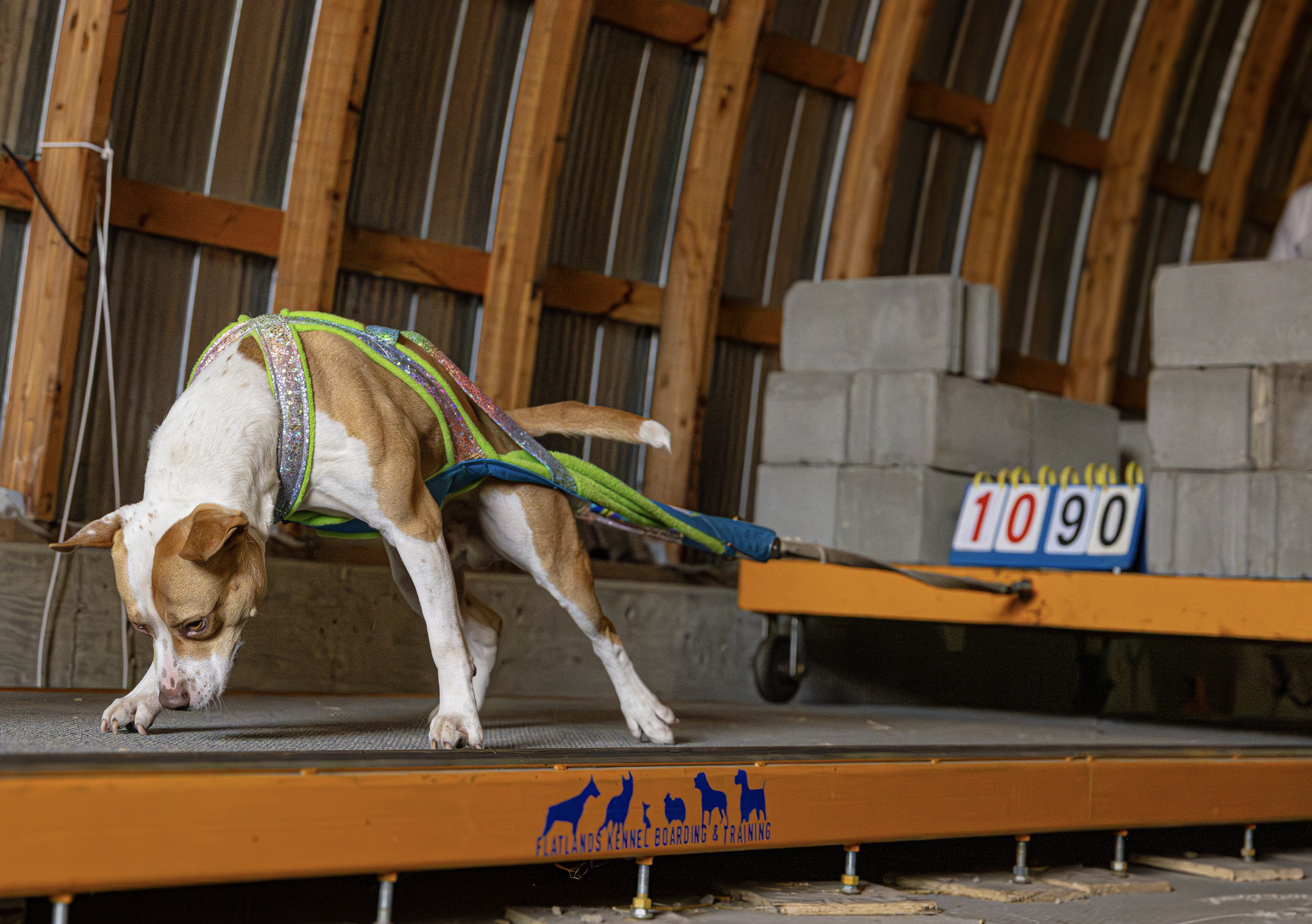 Screenshot 2026-01-08 at 9.20.43 AM.png