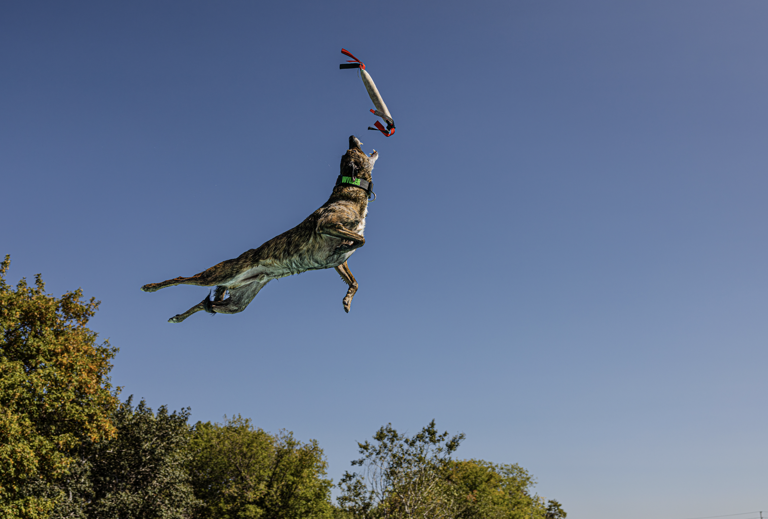 Screenshot 2026-01-08 at 9.34.55 AM.png