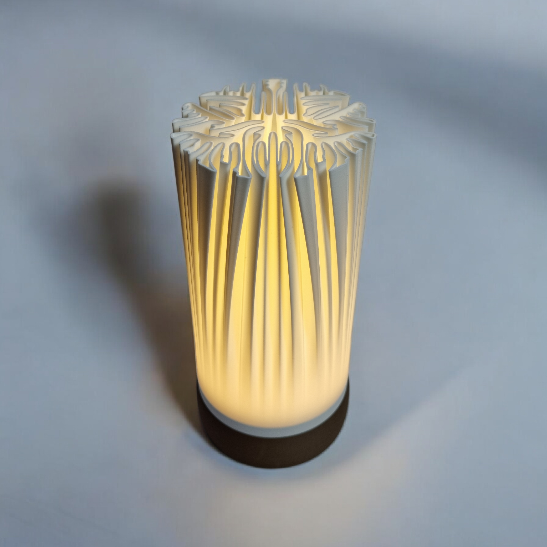 ORGANIS – Lampe Minimaliste Sculpturale