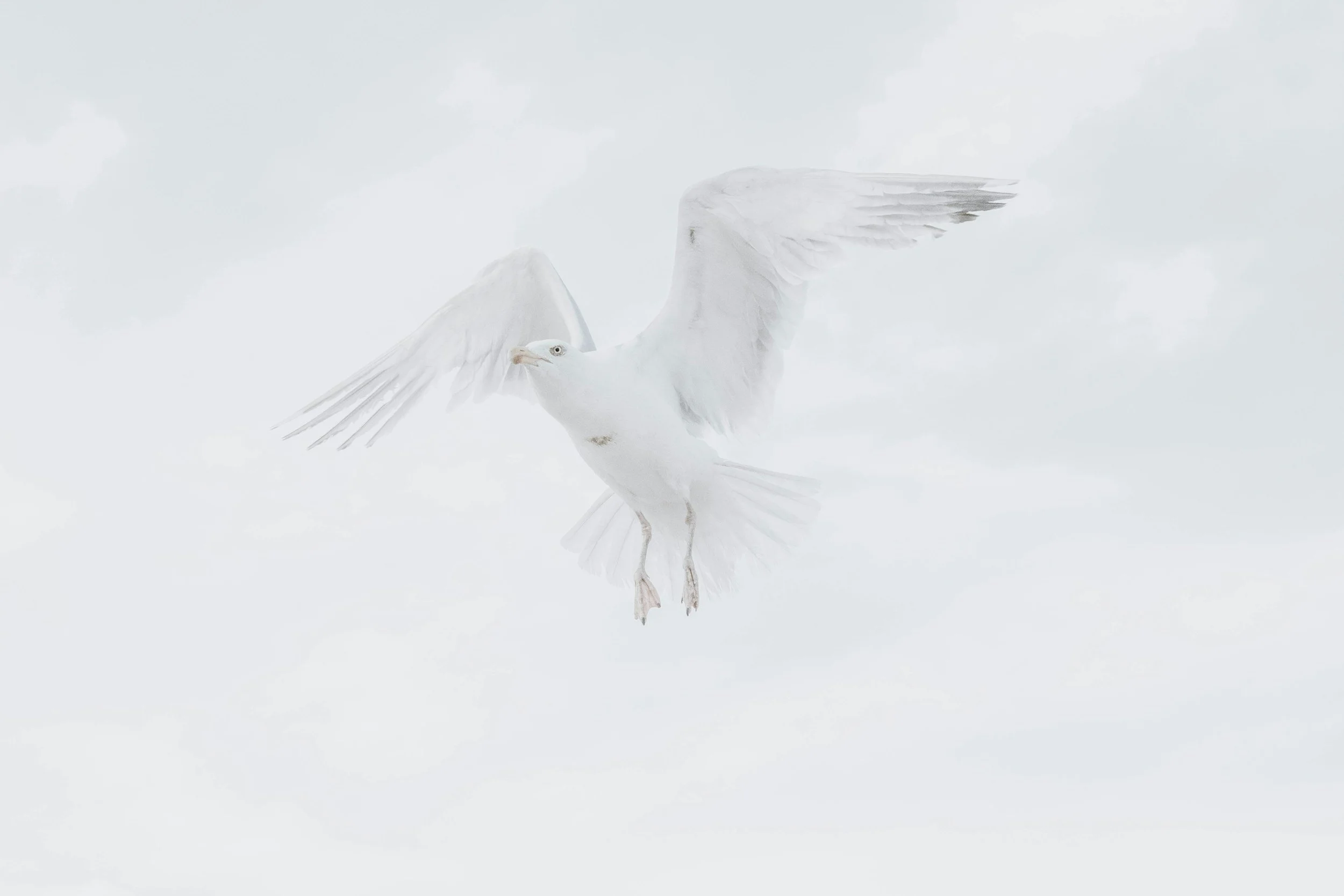 Quotes on Spirituality