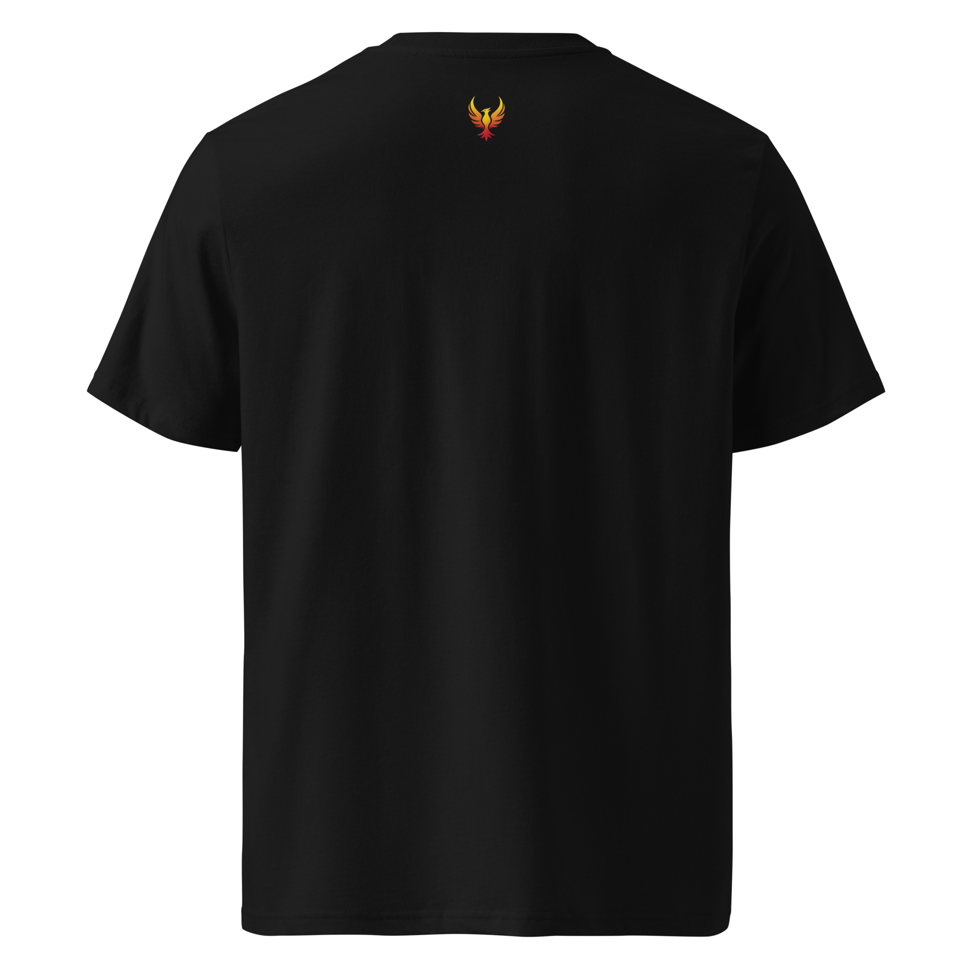 unisex-organic-cotton-t-shirt-black-back-67e4f5f0ae885.png