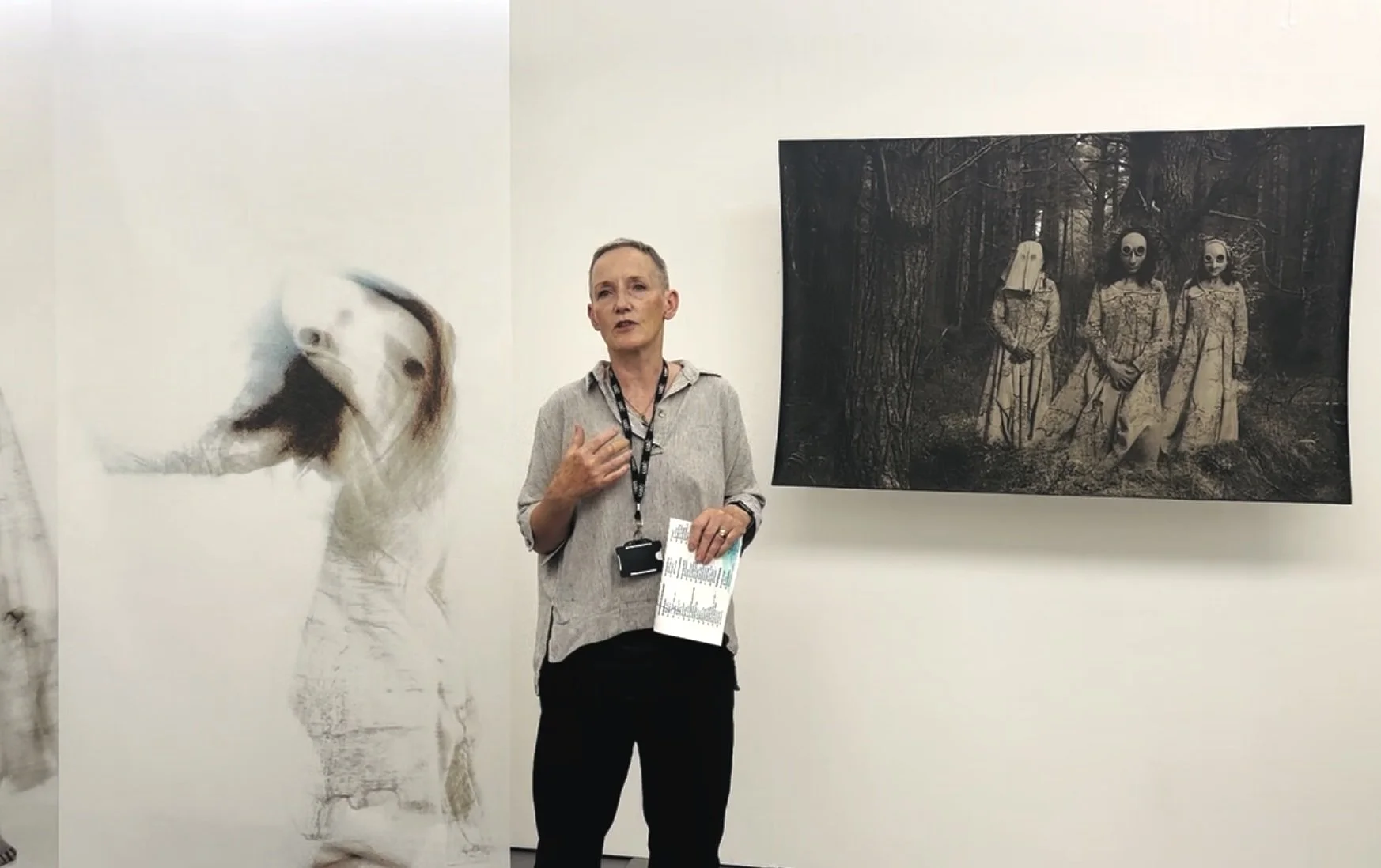 Babybird Walk Through.