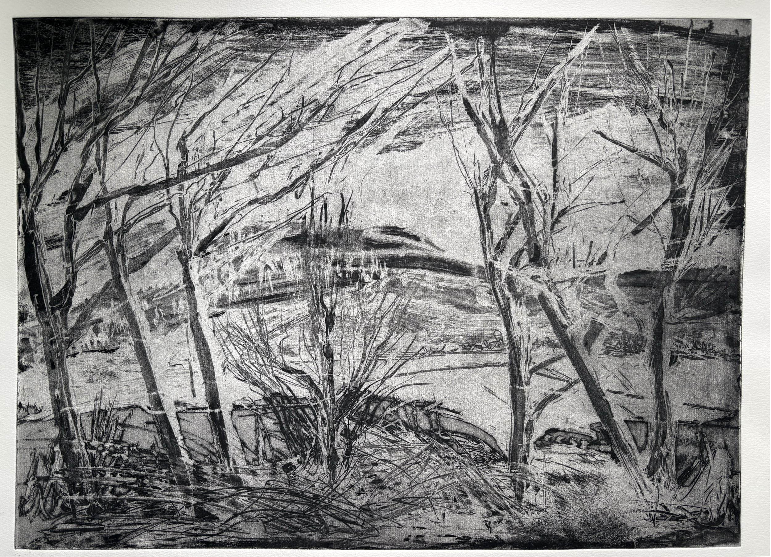Soapground Etching
First stage print on paper