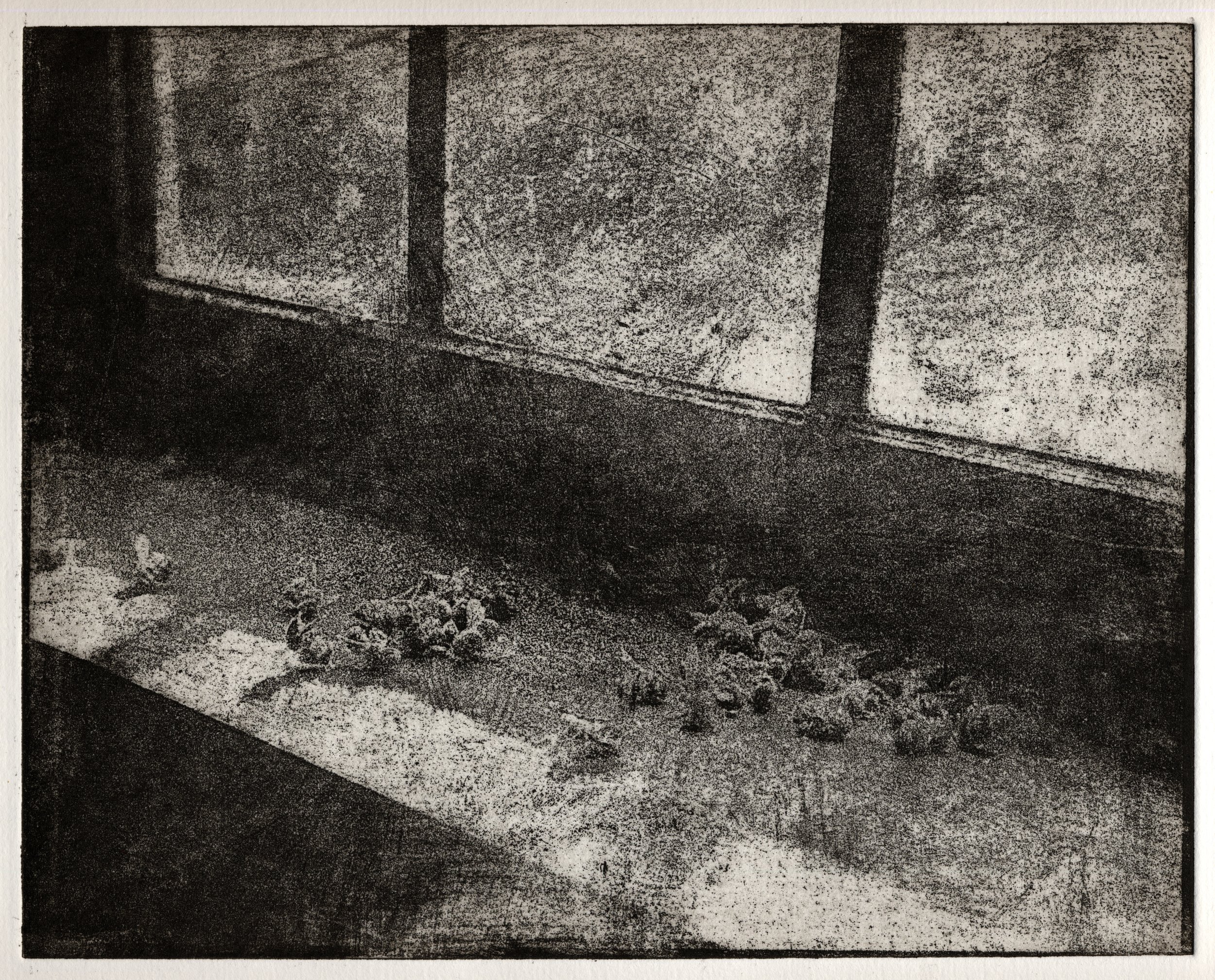 Photo transfer
Resulting print 3