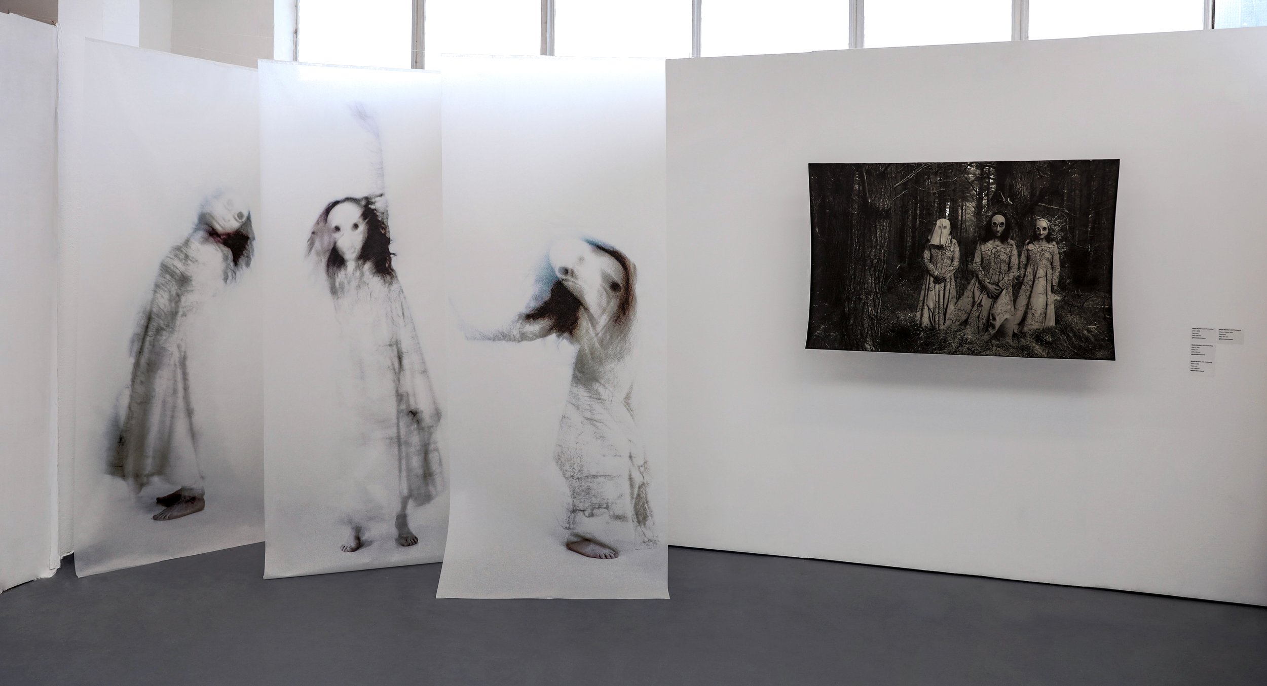    Sisters 1,2,3 & The Weyward Sisters:    
Digital fusion of fabric, print, and performance,.  