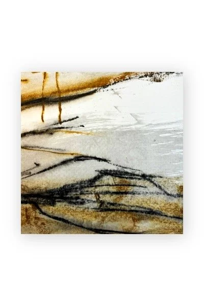 Rodd Wood
Detail from sketch of recent coppice work
