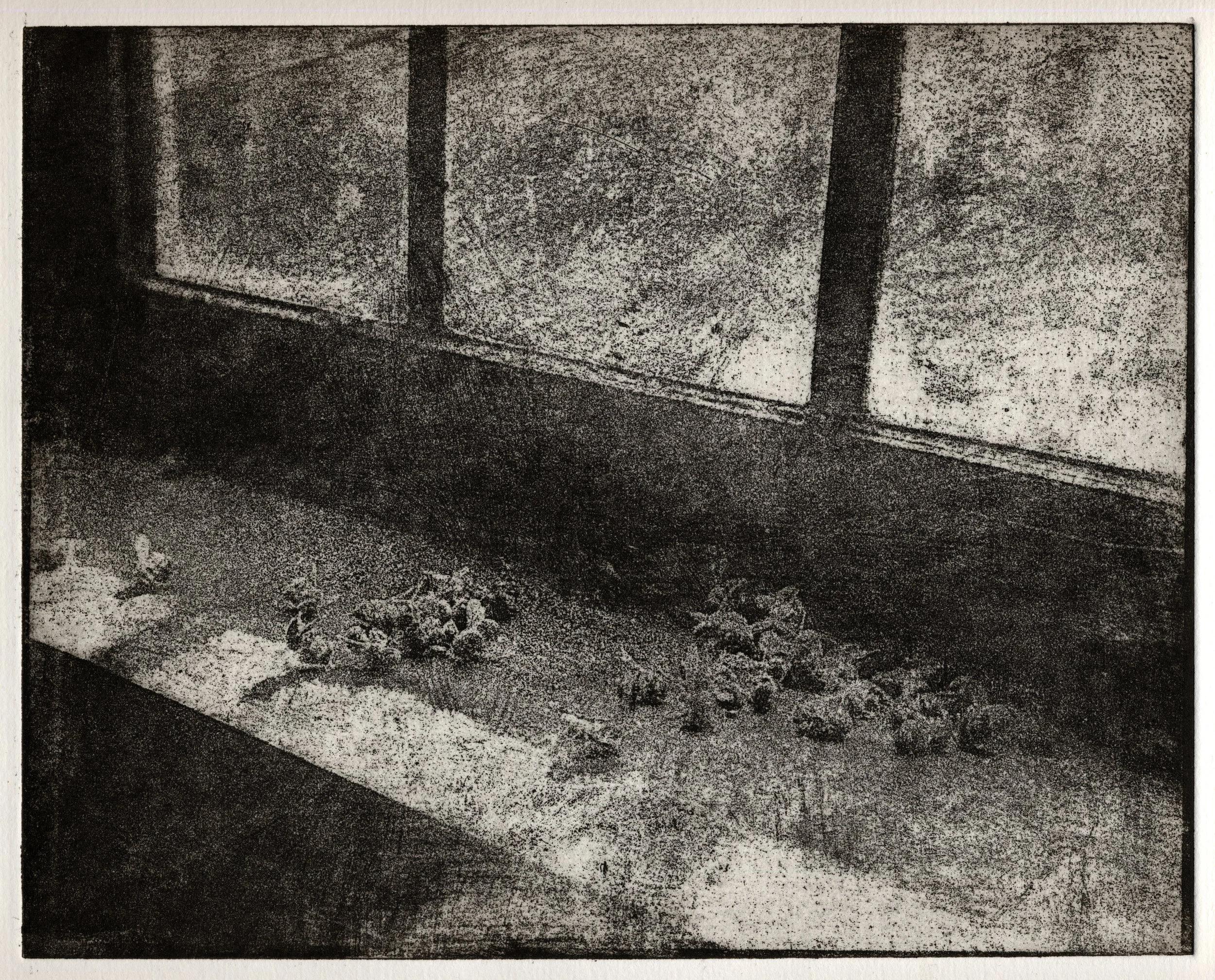 Photo transfer
Resulting print 3