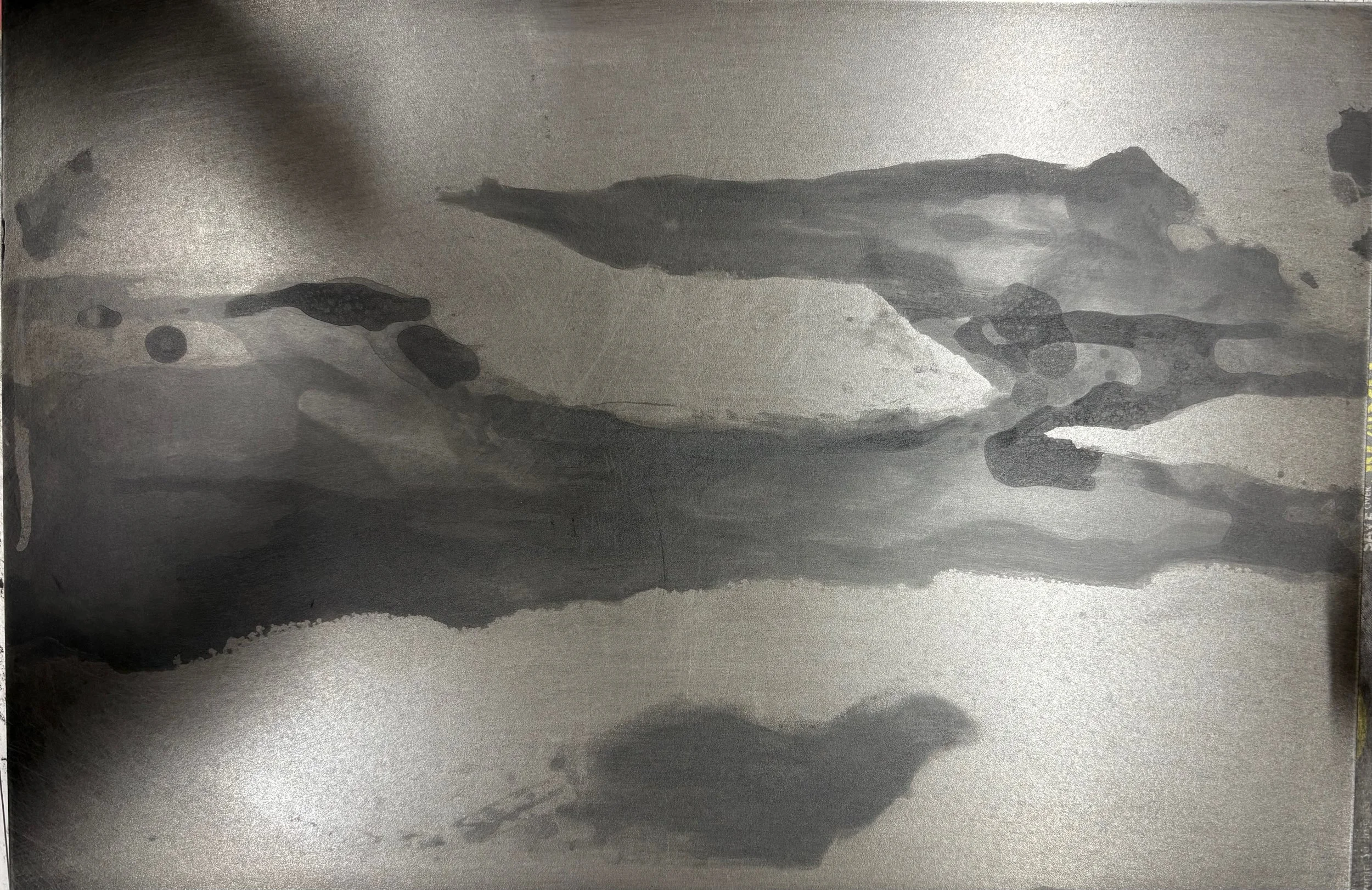 Confluence
Spit-bite test print