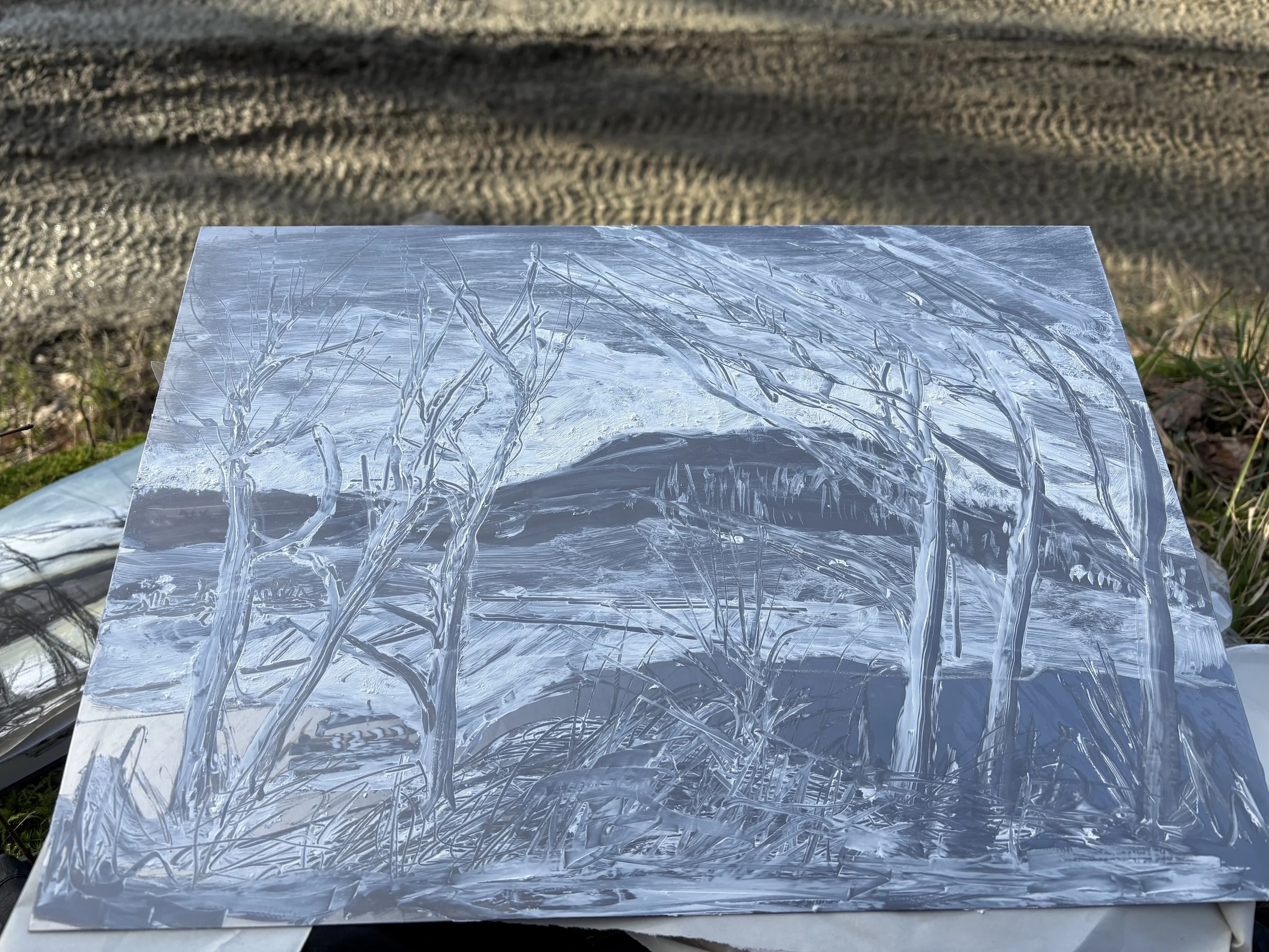 Soapground Etching
Soapground image on the plate
