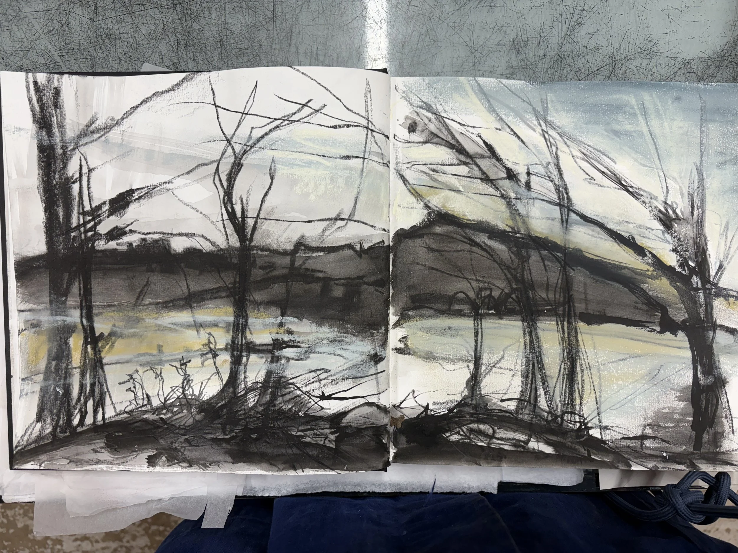 Soapground Etching
Preliminary sketch