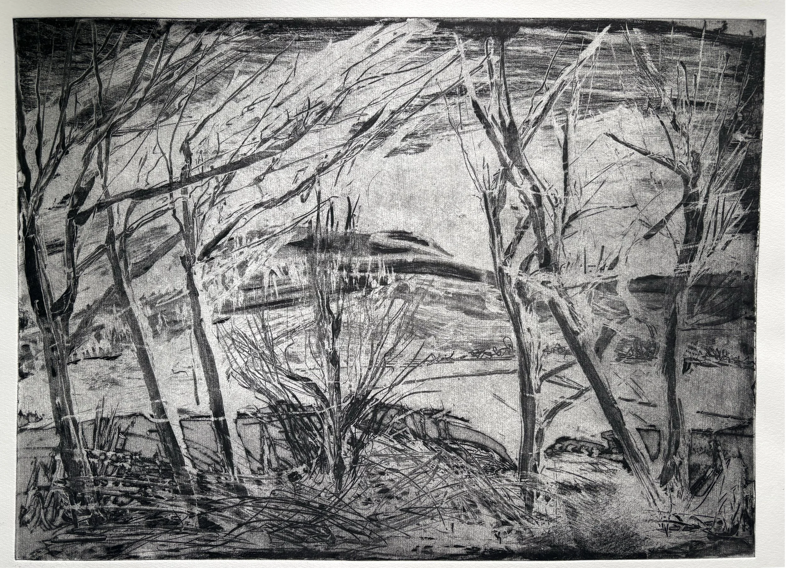 Soapground Etching
First stage print on paper