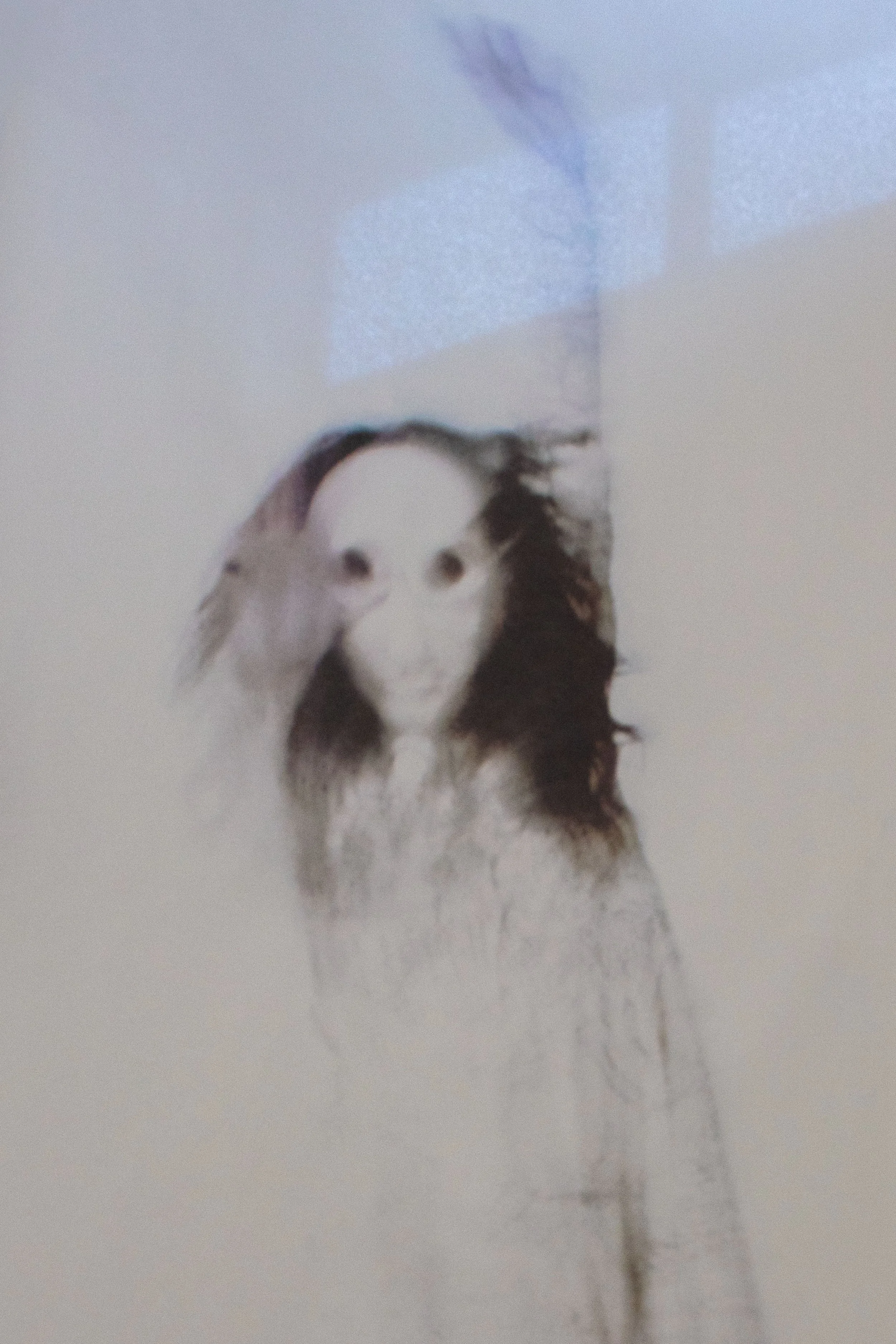    Sisters 1:   
  Detail. 