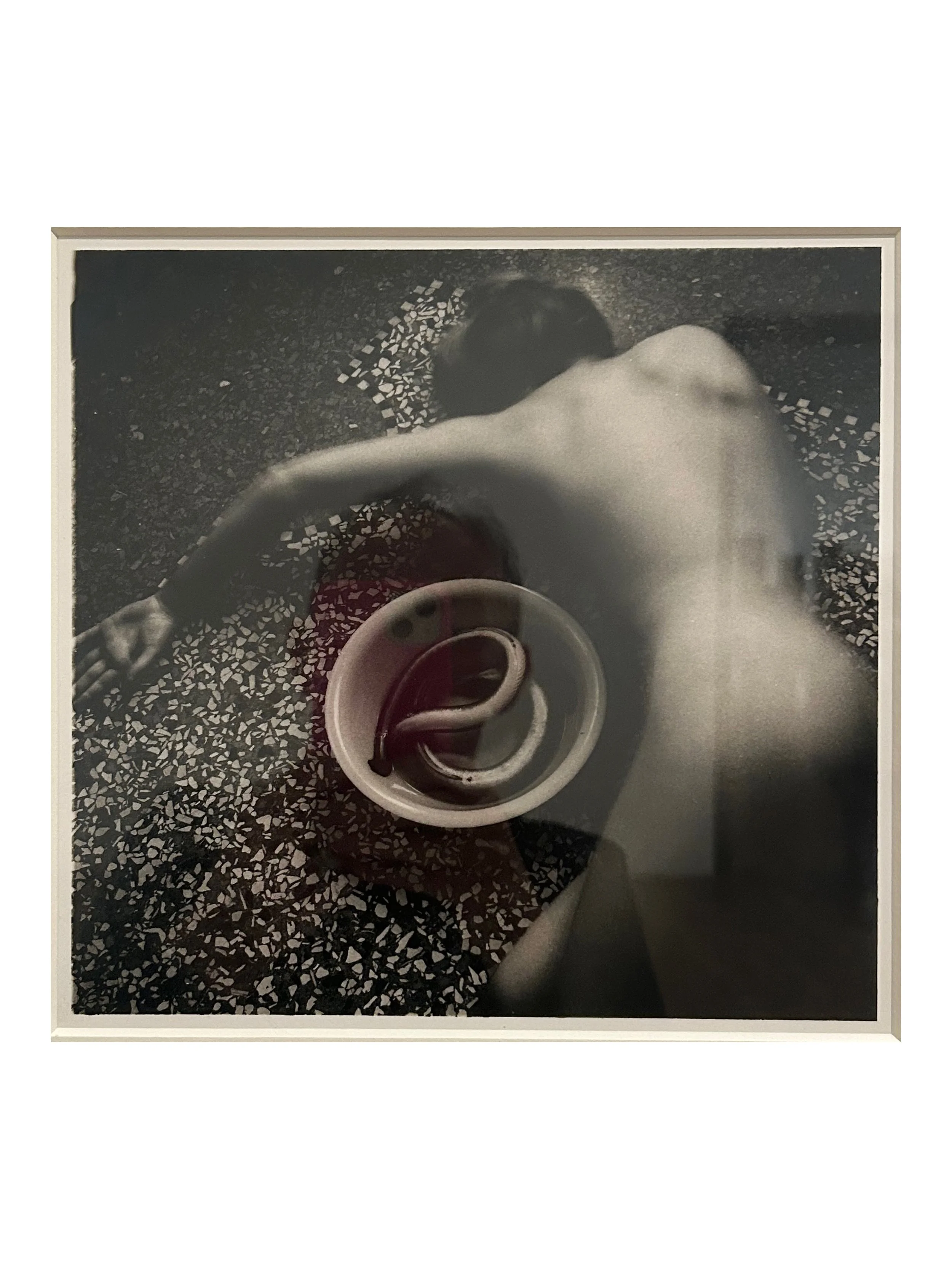  Untitled , from Eel Series, 
Venice, Italy, 1978.
Photograph, gelatin silver print on paper.