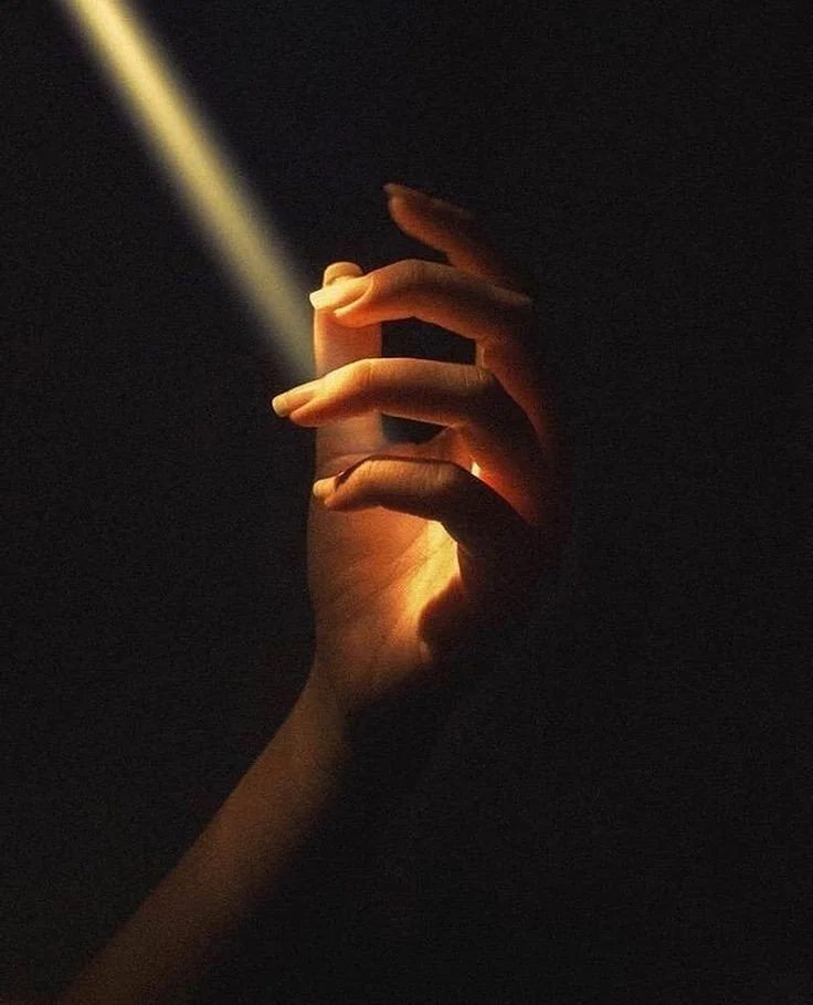 Illuminate Film Festival