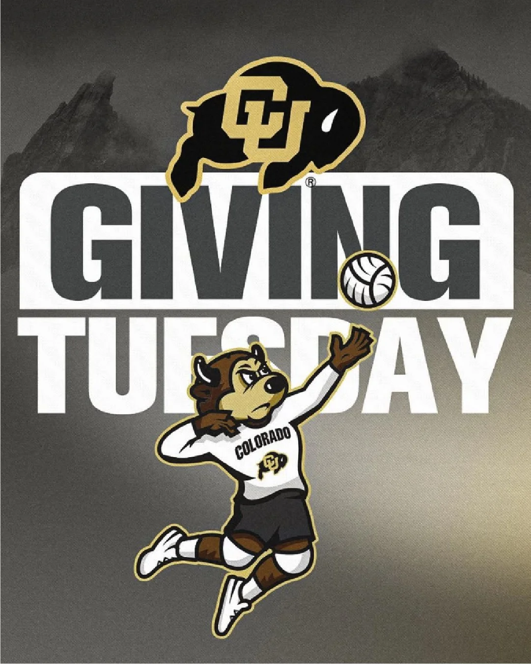 CU_Chip_Mascot_Website_13.jpg