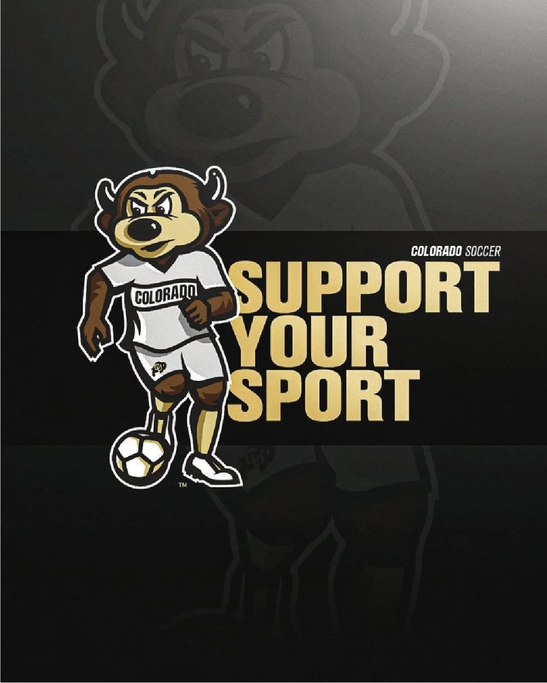 CU_Chip_Mascot_Website_12.jpg