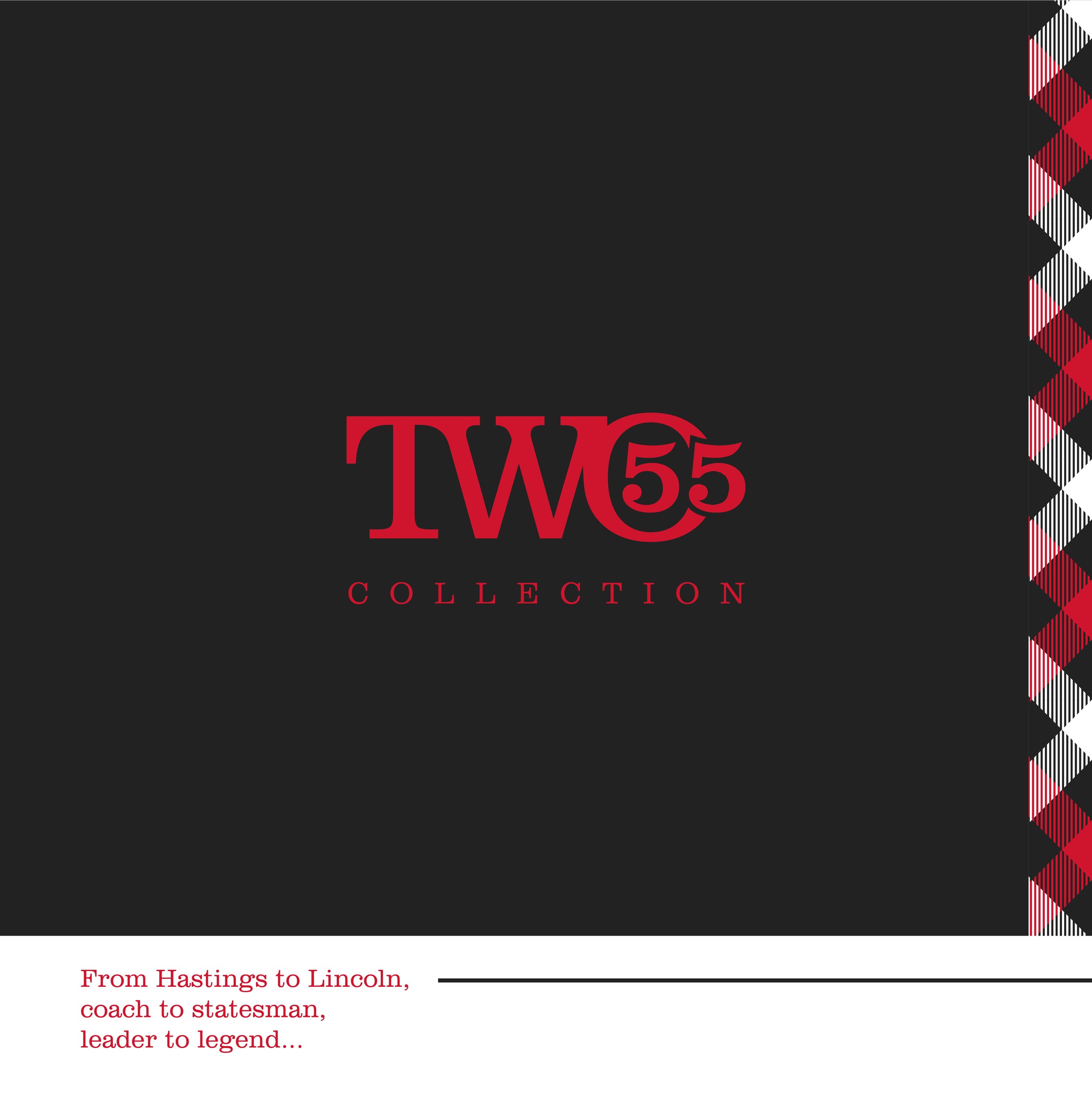 TWO55_logostory(square)-1.jpg